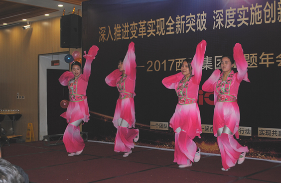 2017西馳集團(tuán)主題年會(huì)(圖12) 2017西馳集團(tuán)主題年會(huì)(圖12)
