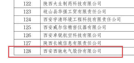 喜訊|西馳電氣榮獲國家級專精特新“小巨人”企業(圖2)